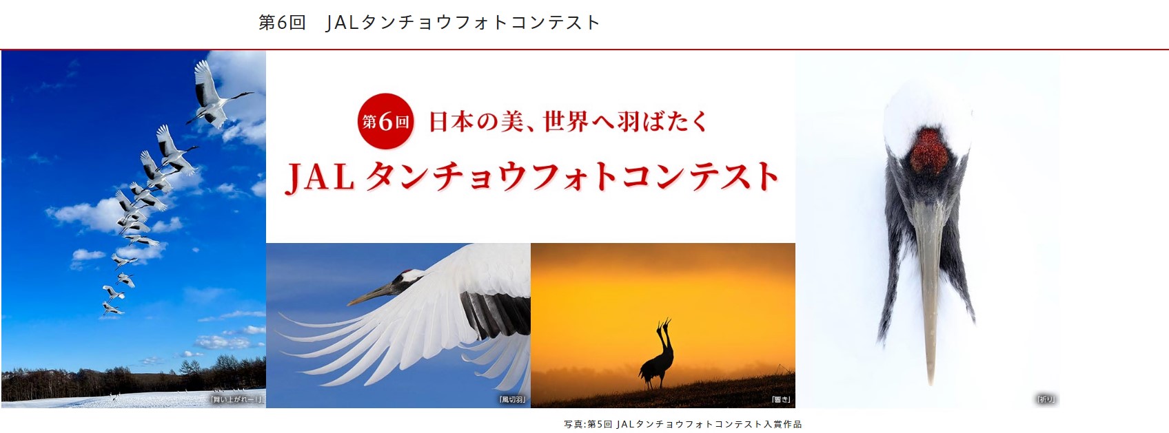 JALフォトコンテスト