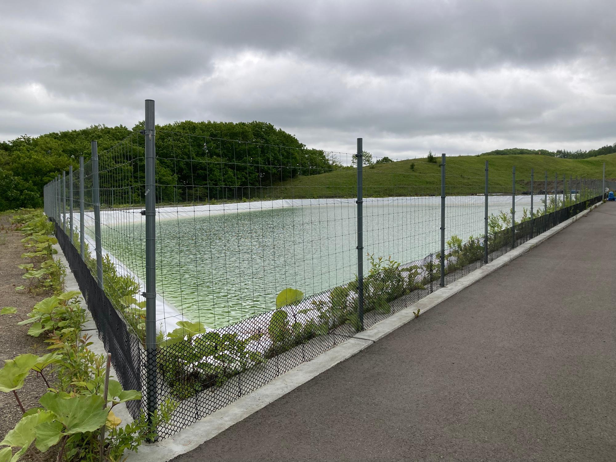 bio_lagoon