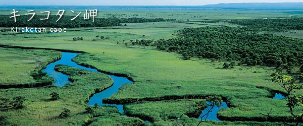 青々とした湿原の中央に1本の曲がりくねった川が流れている写真