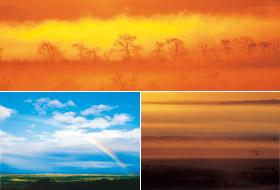 上：全体がオレンジ色に染まり霧が立ち込める中に薄っすらと見えている木々の写真、左下：青空に大きな虹が掛かっている写真、右下：オレンジ色に染まった空が広がっている写真